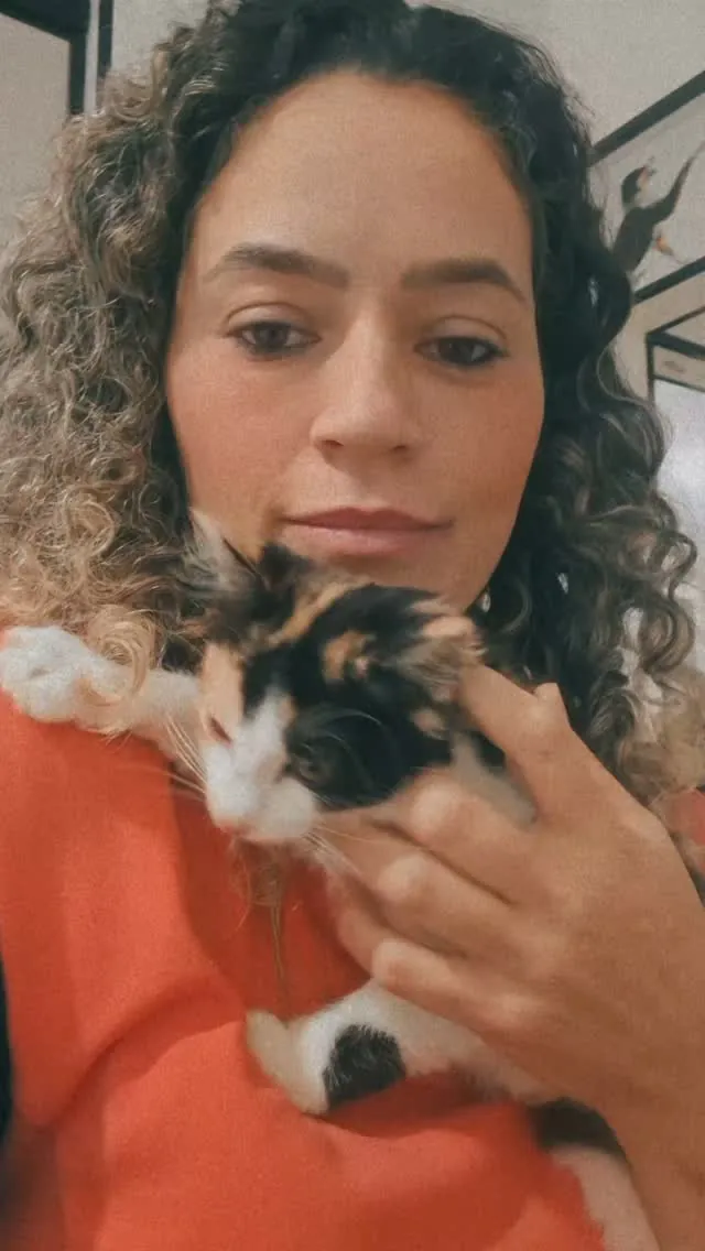 Filhote de gato tricolor no colo da veterinária
