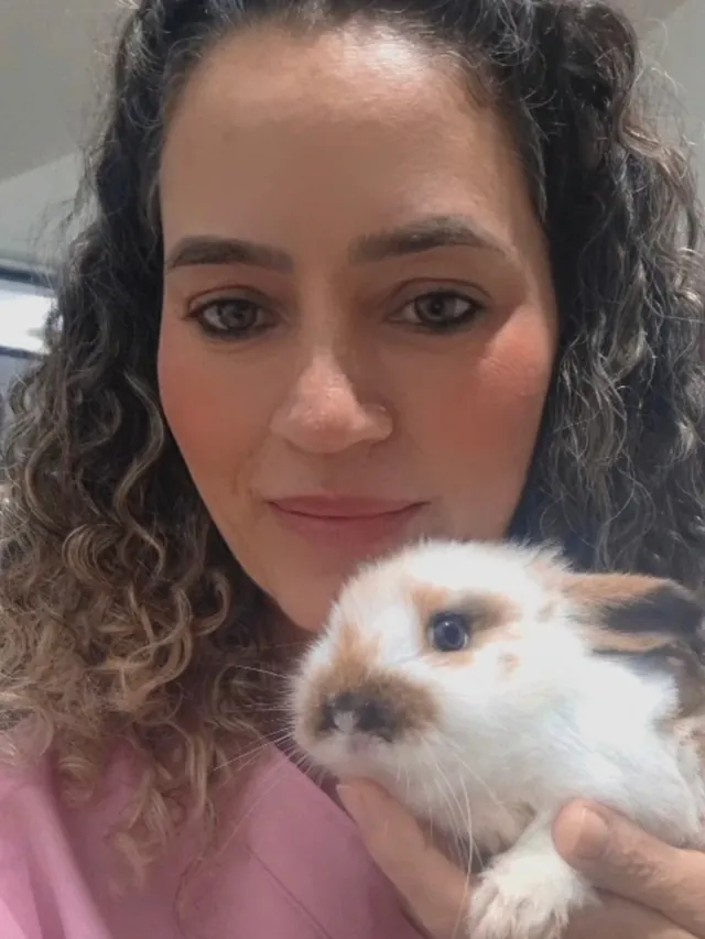 Veterinária segurando um filhote de coelho