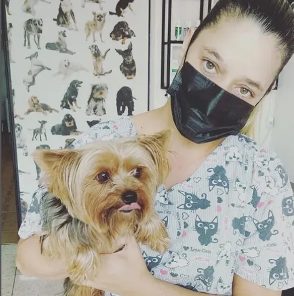 Veterinária da Clínica Bom Jesus com um yorkshire no colo